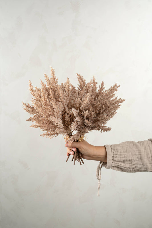 Mocha Pampas Grass Bundle