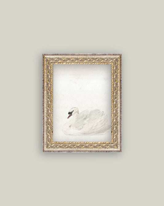 Swan Framed Antique Art