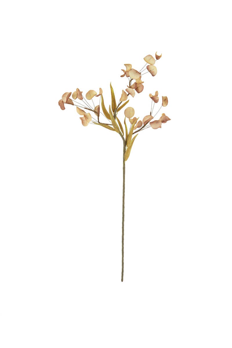 Botanical Stem