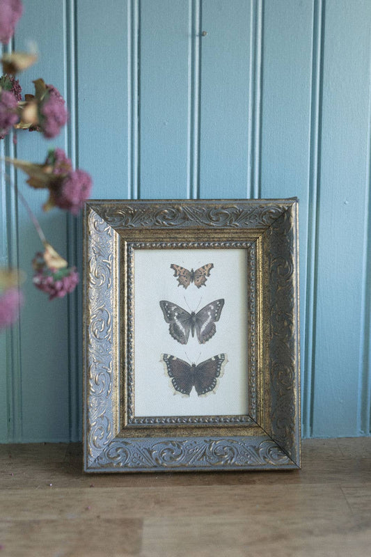 Three Butterflies Framed Antique Art