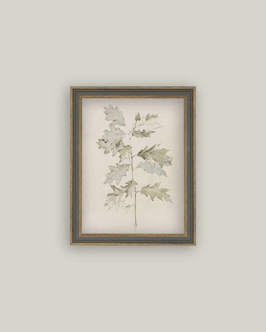 Oak Leaves Framed Antique Art