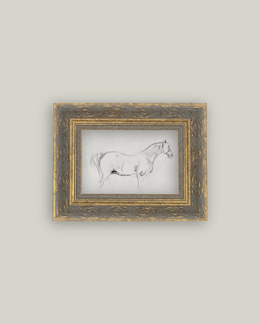 Horse Sketch Framed Antique Art